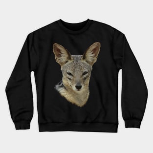 Jackal - wild dog - dog in Africa Crewneck Sweatshirt